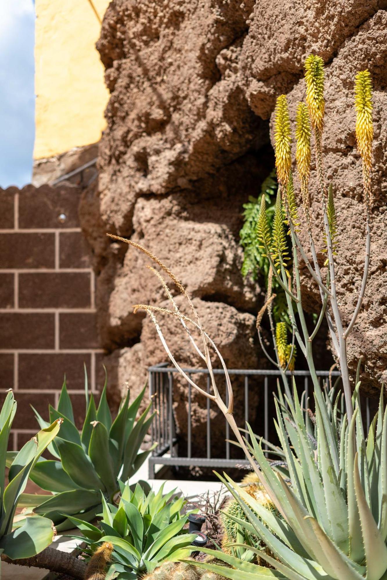 Las Fajanas De Galdar Las Palmas de Gran Canaria Exteriér fotografie